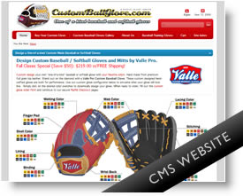 DNN 6 web site design