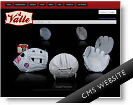 Valle Training Gloves