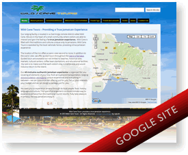Wild Cane Tours