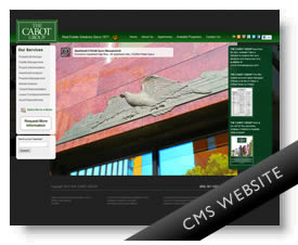 Cabot Group Website developed by LaJuett
